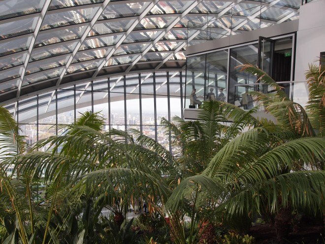 Internal Sky Garden